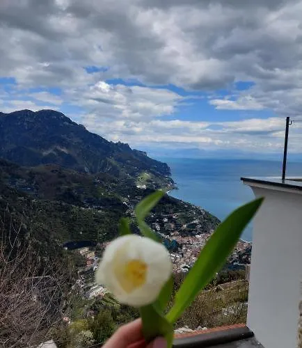 Apartment Il Sogno Di Wagner *