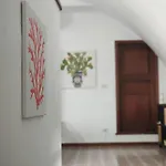 Il Sogno Di Wagner *